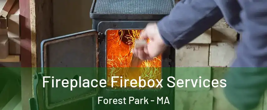 Fireplace Firebox Services Forest Park - MA