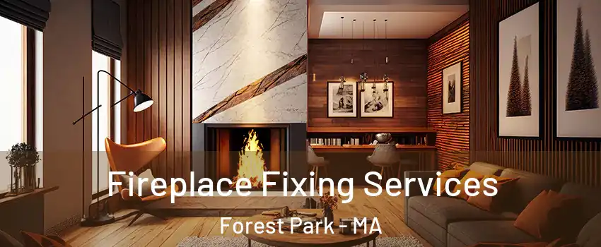 Fireplace Fixing Services Forest Park - MA