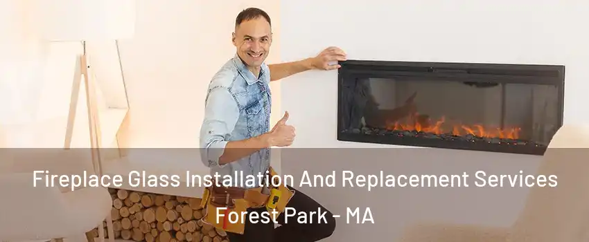 Fireplace Glass Installation And Replacement Services Forest Park - MA