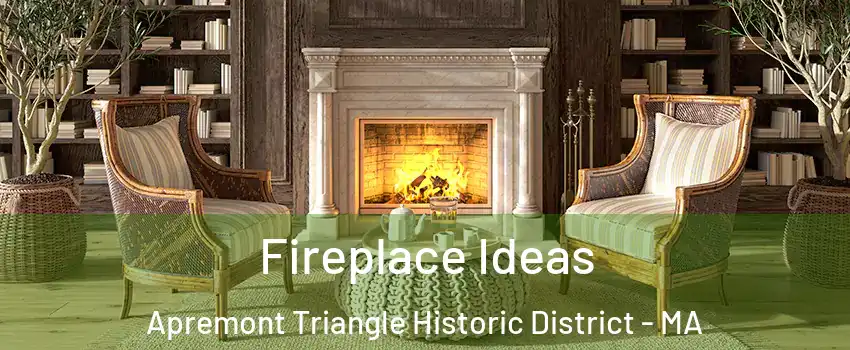 Fireplace Ideas Apremont Triangle Historic District - MA