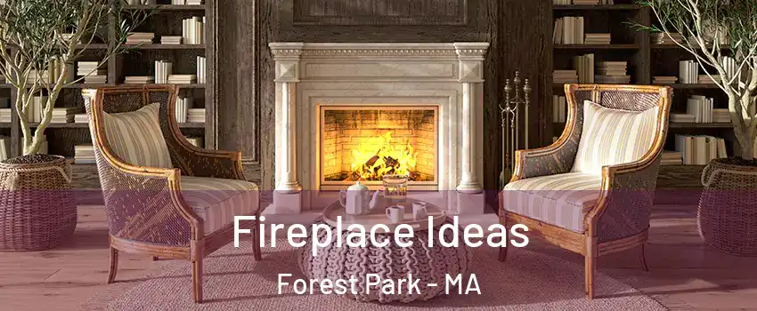 Fireplace Ideas Forest Park - MA