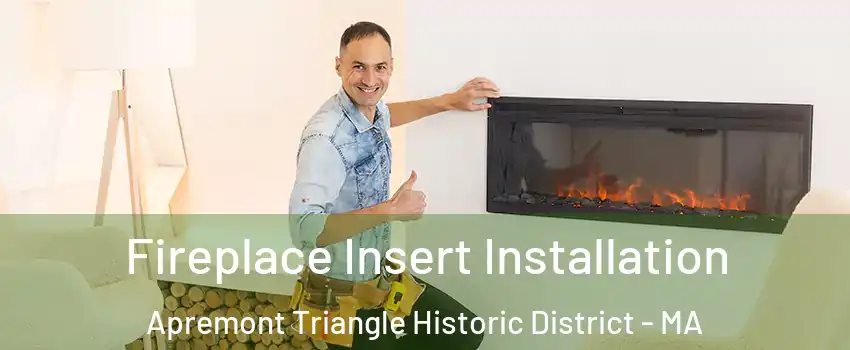 Fireplace Insert Installation Apremont Triangle Historic District - MA
