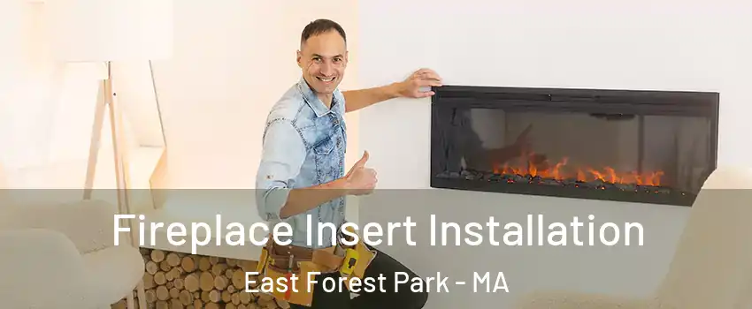 Fireplace Insert Installation East Forest Park - MA