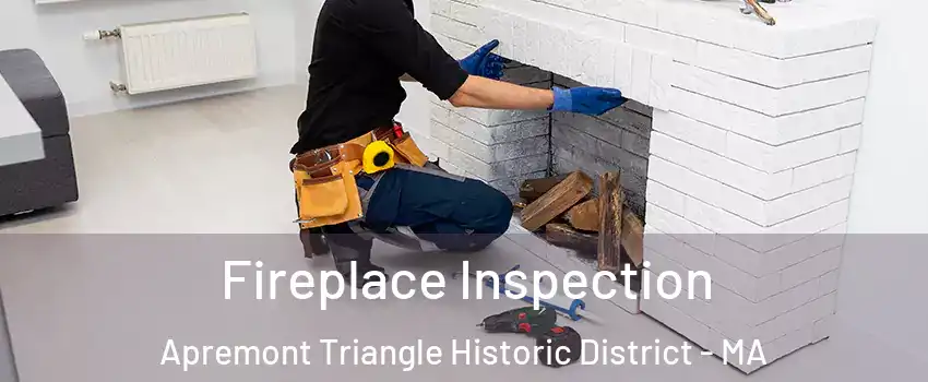 Fireplace Inspection Apremont Triangle Historic District - MA