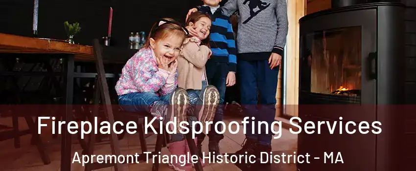 Fireplace Kidsproofing Services Apremont Triangle Historic District - MA