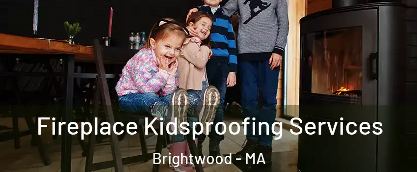 Fireplace Kidsproofing Services Brightwood - MA