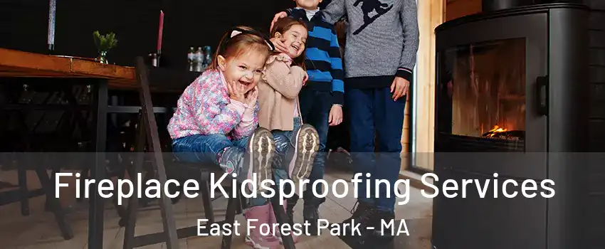 Fireplace Kidsproofing Services East Forest Park - MA