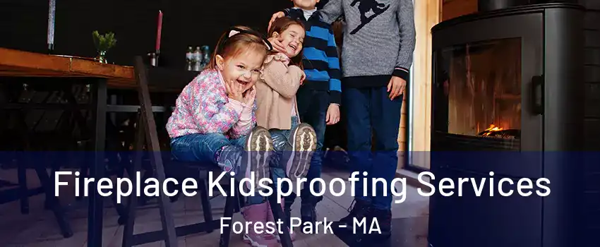 Fireplace Kidsproofing Services Forest Park - MA