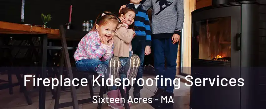 Fireplace Kidsproofing Services Sixteen Acres - MA