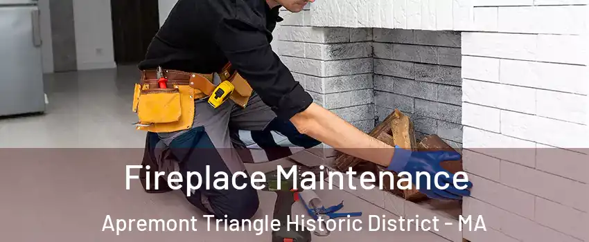 Fireplace Maintenance Apremont Triangle Historic District - MA