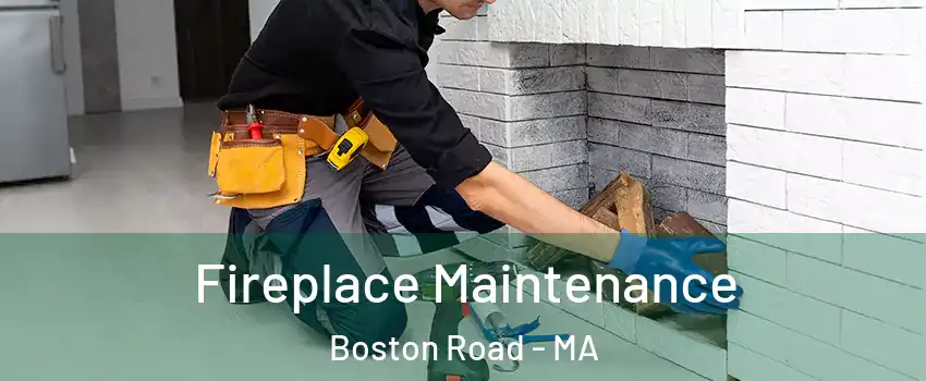 Fireplace Maintenance Boston Road - MA
