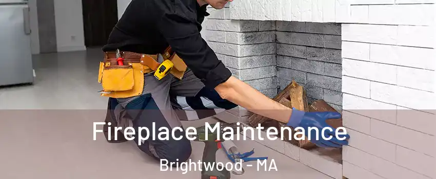 Fireplace Maintenance Brightwood - MA
