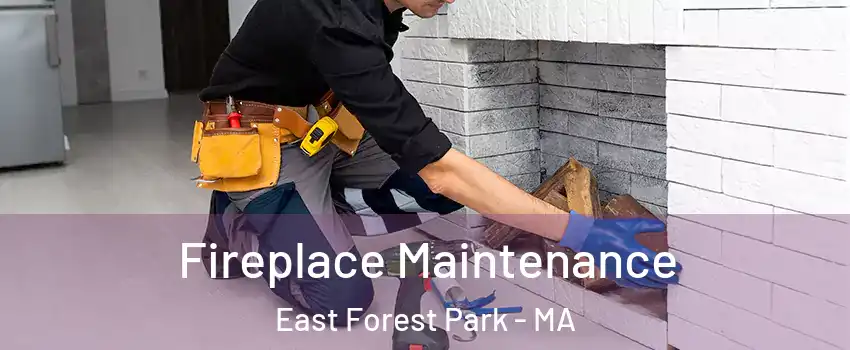 Fireplace Maintenance East Forest Park - MA