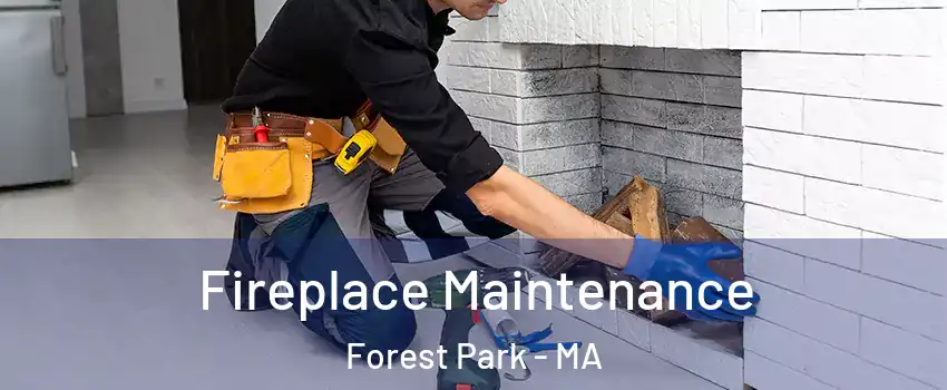Fireplace Maintenance Forest Park - MA