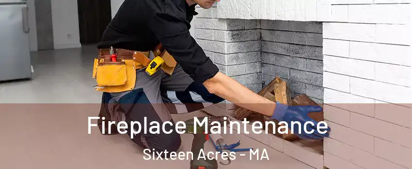 Fireplace Maintenance Sixteen Acres - MA