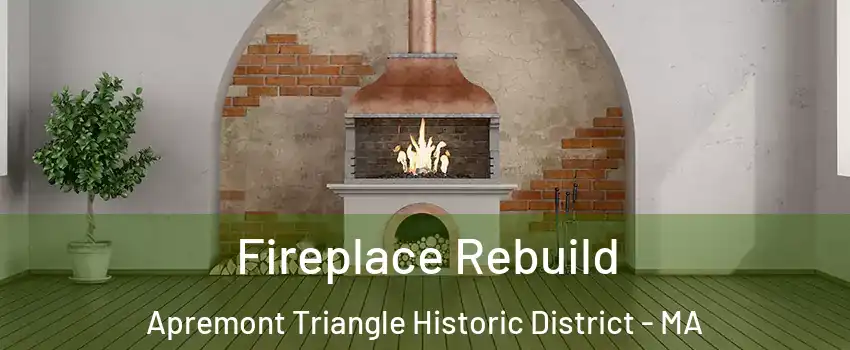 Fireplace Rebuild Apremont Triangle Historic District - MA