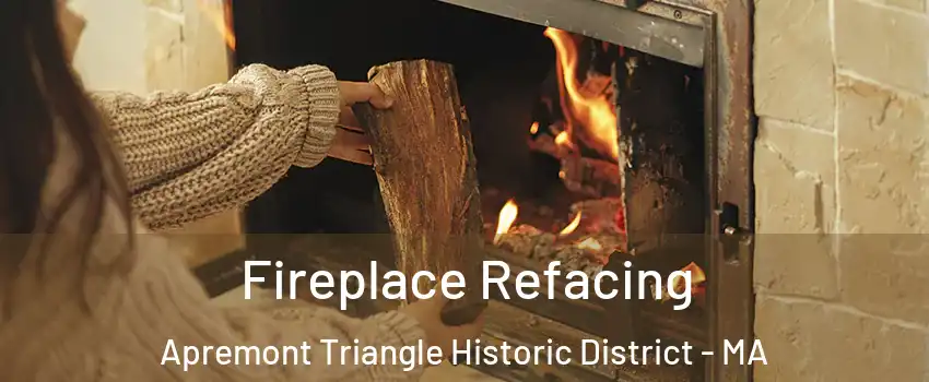 Fireplace Refacing Apremont Triangle Historic District - MA