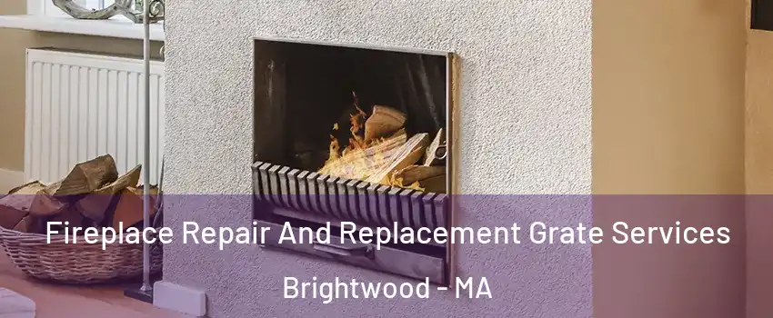 Fireplace Repair And Replacement Grate Services Brightwood - MA