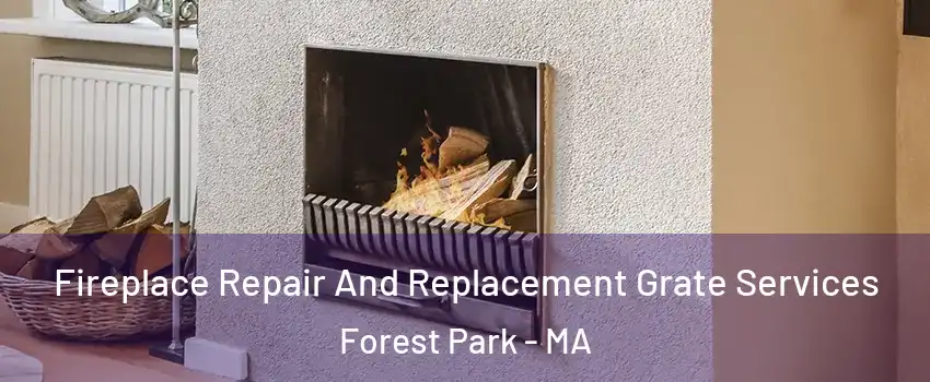 Fireplace Repair And Replacement Grate Services Forest Park - MA