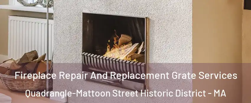 Fireplace Repair And Replacement Grate Services Quadrangle-Mattoon Street Historic District - MA
