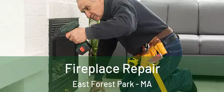 Fireplace Repair East Forest Park - MA