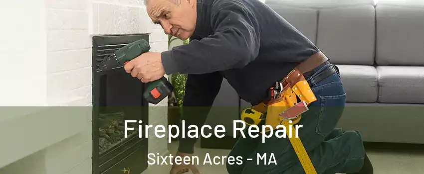 Fireplace Repair Sixteen Acres - MA