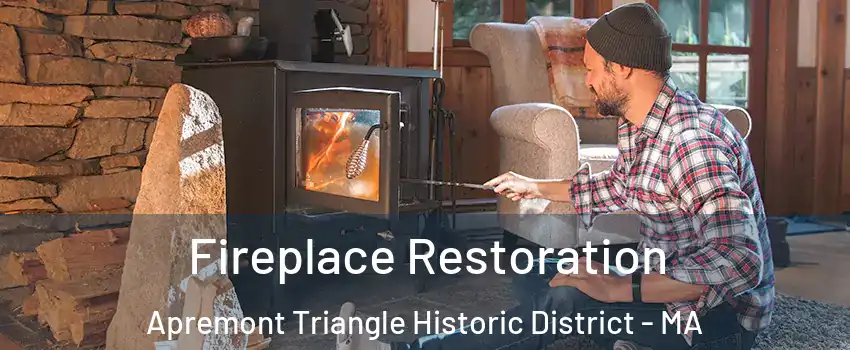 Fireplace Restoration Apremont Triangle Historic District - MA