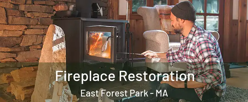 Fireplace Restoration East Forest Park - MA