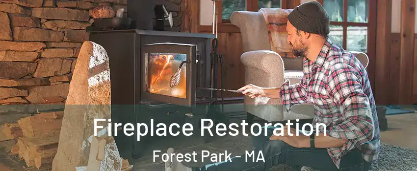Fireplace Restoration Forest Park - MA