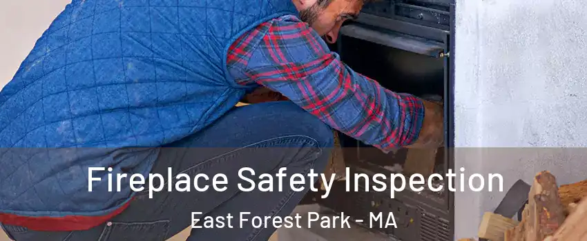 Fireplace Safety Inspection East Forest Park - MA
