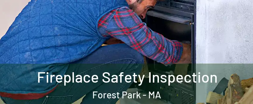 Fireplace Safety Inspection Forest Park - MA