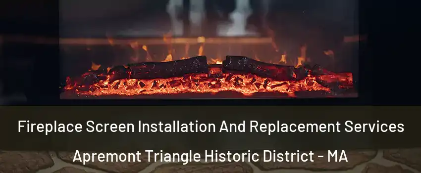 Fireplace Screen Installation And Replacement Services Apremont Triangle Historic District - MA