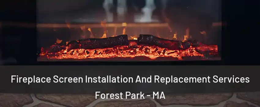Fireplace Screen Installation And Replacement Services Forest Park - MA