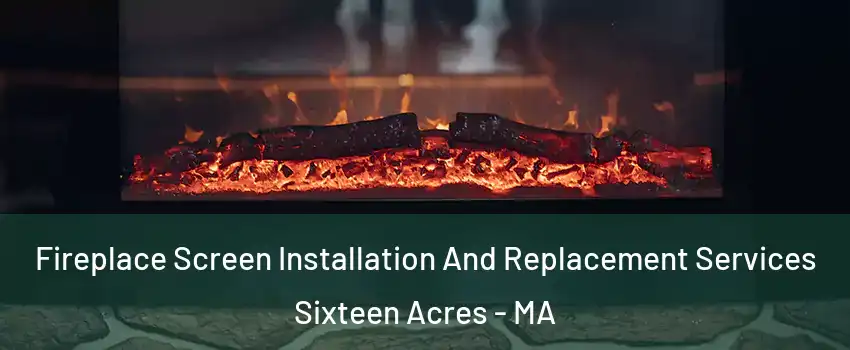 Fireplace Screen Installation And Replacement Services Sixteen Acres - MA