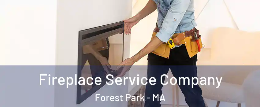 Fireplace Service Company Forest Park - MA