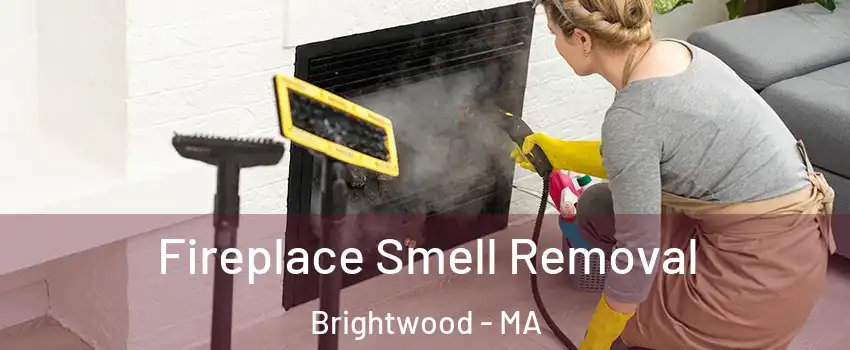 Fireplace Smell Removal Brightwood - MA