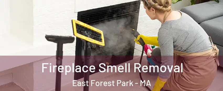 Fireplace Smell Removal East Forest Park - MA