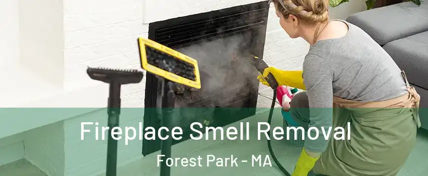 Fireplace Smell Removal Forest Park - MA