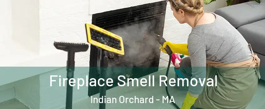 Fireplace Smell Removal Indian Orchard - MA