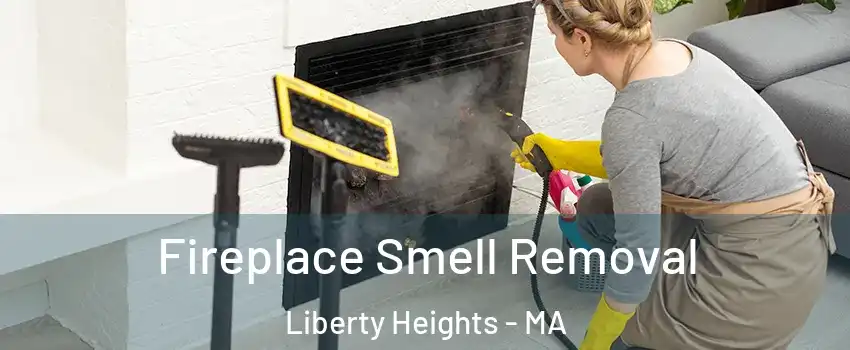 Fireplace Smell Removal Liberty Heights - MA