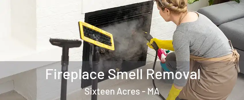 Fireplace Smell Removal Sixteen Acres - MA