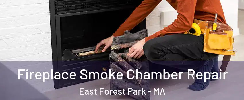 Fireplace Smoke Chamber Repair East Forest Park - MA