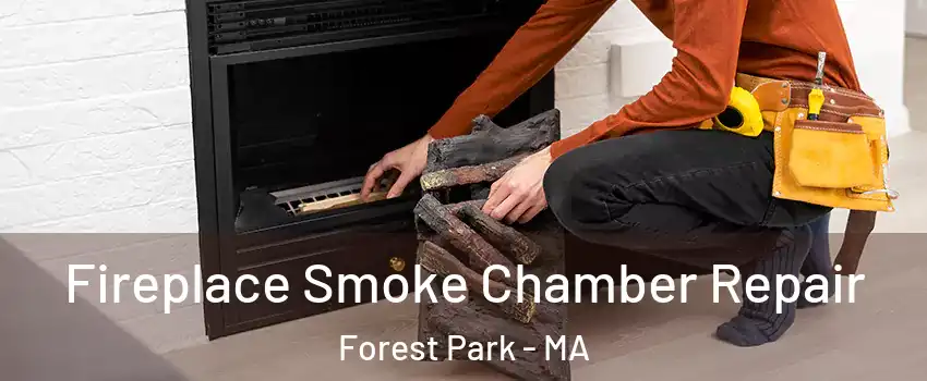 Fireplace Smoke Chamber Repair Forest Park - MA