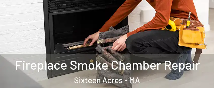 Fireplace Smoke Chamber Repair Sixteen Acres - MA