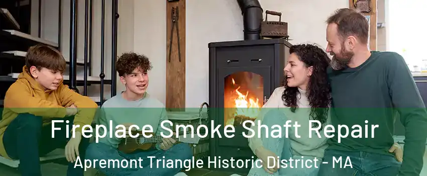 Fireplace Smoke Shaft Repair Apremont Triangle Historic District - MA