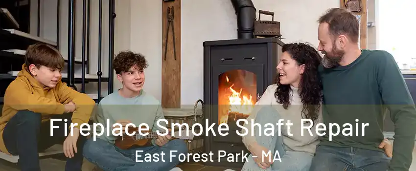 Fireplace Smoke Shaft Repair East Forest Park - MA