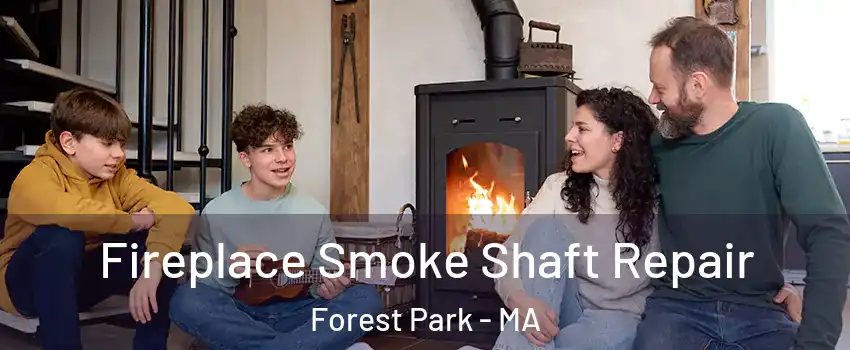 Fireplace Smoke Shaft Repair Forest Park - MA