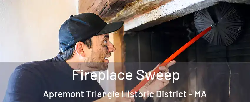 Fireplace Sweep Apremont Triangle Historic District - MA