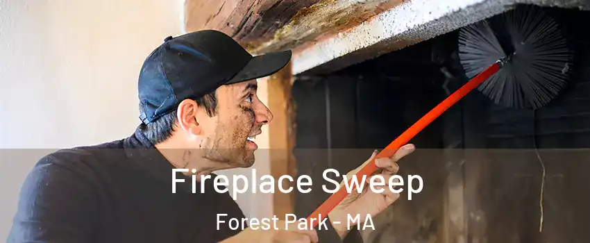 Fireplace Sweep Forest Park - MA