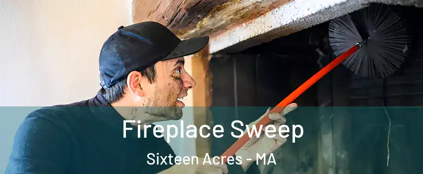 Fireplace Sweep Sixteen Acres - MA